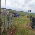 2018-06-13 07.59.30.jpg
